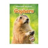 Gophers, Derek Zobel