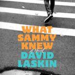 What Sammy Knew, David Laskin