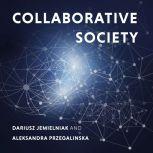 Collaborative Society, Dariusz Jemielniak