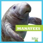 Manatees, Mari Schuh