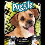 Puggle, Molly Kolpin