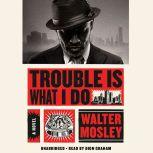 Trouble is What I Do, Walter Mosley