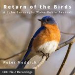 Return of the Birds, Peter Meddick