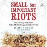 Small but Important Riots, Robert F. ONeill