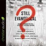 Still Evangelical? Insiders Reconsider Political, Social, and Theological Meaning, Bob Souer