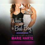 What to Do with a Bad Boy, Marie Harte