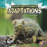 Rain Forest Animal Adaptations, Lisa Amstutz