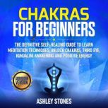 Chakras For Beginners, Ashley Stones