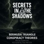 Secrets in the Shadows, David Cameron