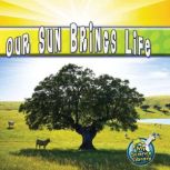Our Sun Brings Life, Conrad J. Storad