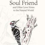 Soul Friend, Sheila McEntee