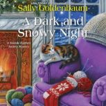 A Dark and Snowy Night, Sally Goldenbaum