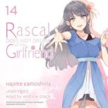 Rascal Does Not Dream of His Girlfrie..., Hajime Kamoshida