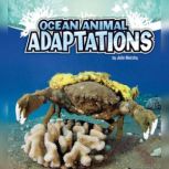 Ocean Animal Adaptations, Julie Murphy