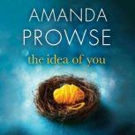 The Idea of You, Amanda Prowse