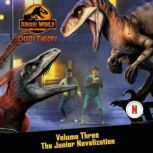 Chaos Theory, Volume Three The Junio..., Steve Behling