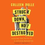 Struck Down, Not Destroyed, Colleen Dulle