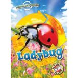 Animal Life Cycles Ladybug, Elizabeth Neuenfeldt
