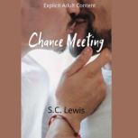 Chance Meeting, S.C Lewis