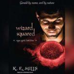 Wizard Squared, K. E. Mills