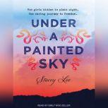 Under a Painted Sky, Stacey Lee