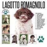 Lagotto Romagnolo, Ken Leonard