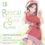 Rascal Does Not Dream of Santa Claus ..., Hajime Kamoshida