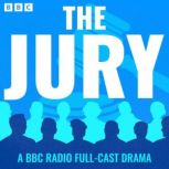 The Jury, Matthew Solon