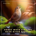 House Wren Singing Near River Stream, Greg Cetus