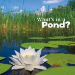 Whats in a Pond?, Martha Rustad