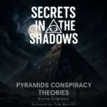 Secrets in the Shadows, David Cameron