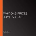 Why Gas Prices Jump So Fast, Taylor Grant