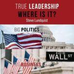 True Leadership . . . Where is It? Big Politics & Big Business, Steve Lundquist