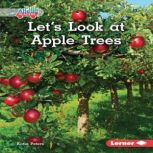 Lets Look at Apple Trees, Katie Peters