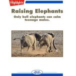 Raising Elephants, Jennifer Berry