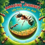 The Amazing Journey, Tee Bogitini