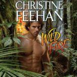 Wild Fire, Christine Feehan
