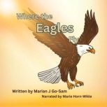 Where the Eagles Fly, Marian J GoSam