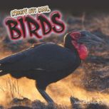 Creepy but Cool Birds, Julie K. Lundgren