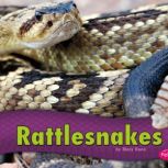 Rattlesnakes, Mary R. Dunn
