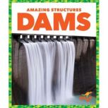 Dams, Rebecca Pettiford