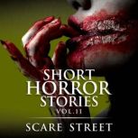 Short Horror Stories Vol. 11, Scare Street