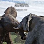 South African Folk Tales, Vol I, James A Honey