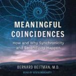 Meaningful Coincidences, Bernard Beitman