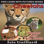 Cheetahs Photos and Fun Facts for Kids, Isis Gaillard