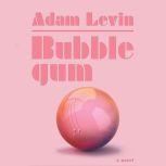 Bubblegum A Novel, Adam Levin