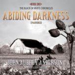 Abiding Darkness Book One of The Black or White Chronicles, John Aubrey Anderson