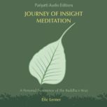 Journey of Insight Meditation, Eric Lerner