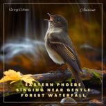 Eastern Phoebe Singing Near Gentle Fo..., Greg Cetus