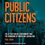 Public Citizens The Attack on Big Government and the Remaking of American Liberalism, Paul Sabin